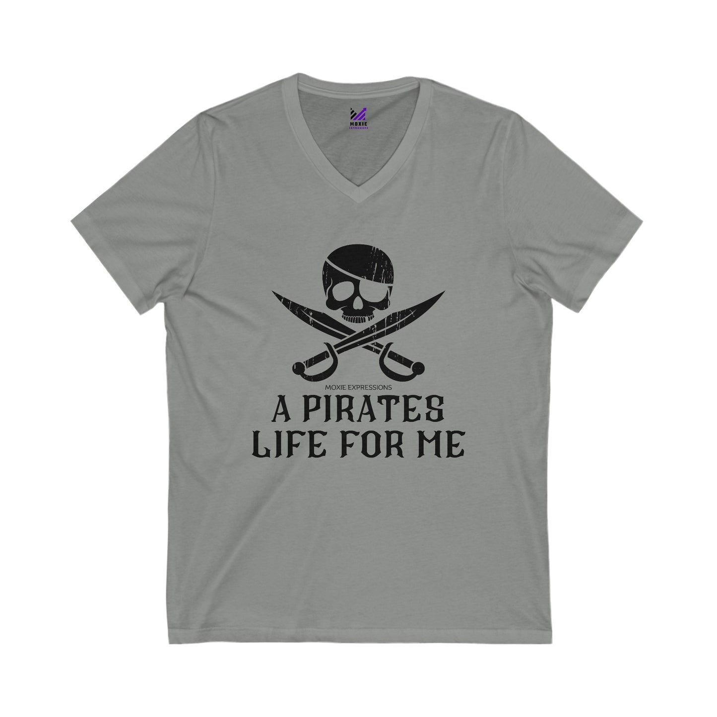 Treasure Seeker Unisex Jersey Short Sleeve V-Neck Tee
