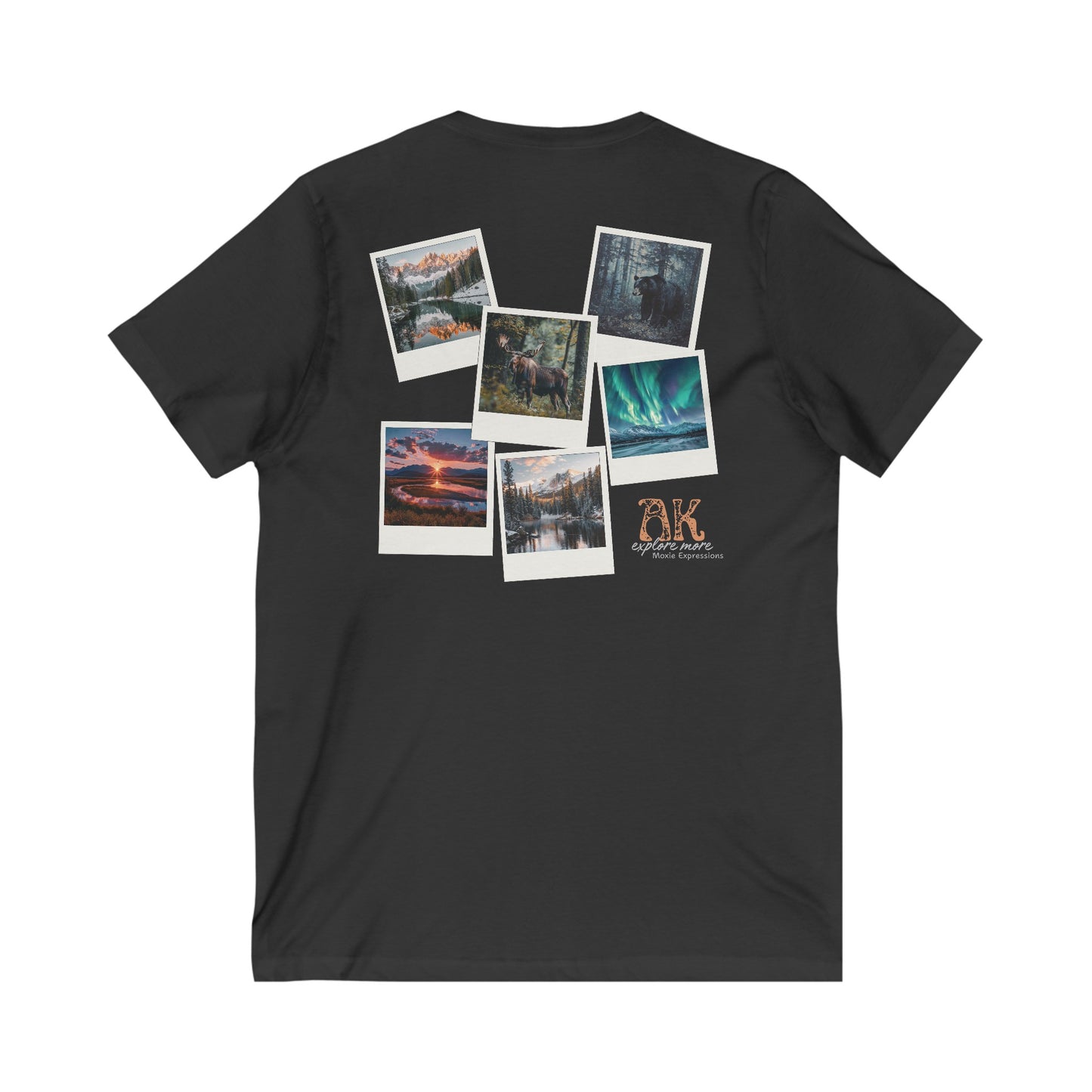 Alaska Explore More Unisex Jersey Short Sleeve V-Neck Tee