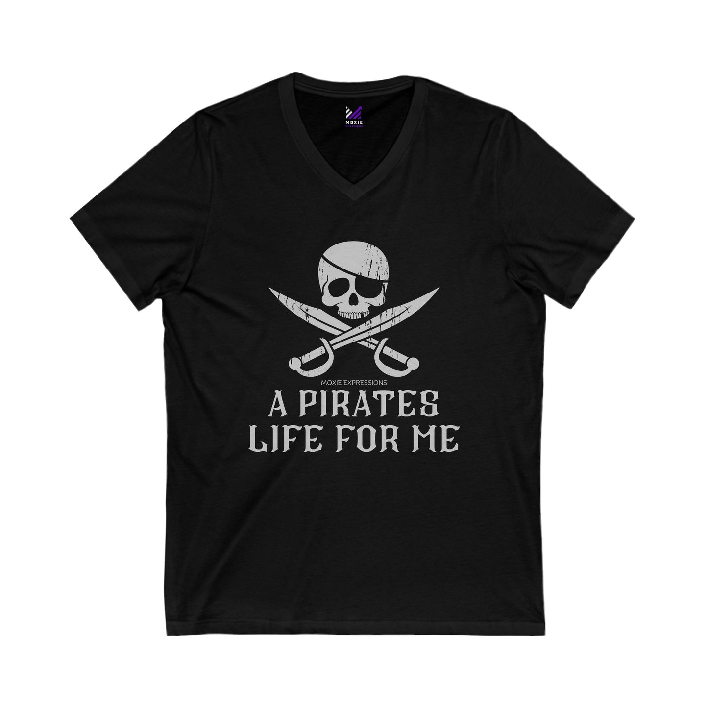 Treasure Seeker Unisex Jersey Short Sleeve V-Neck Tee