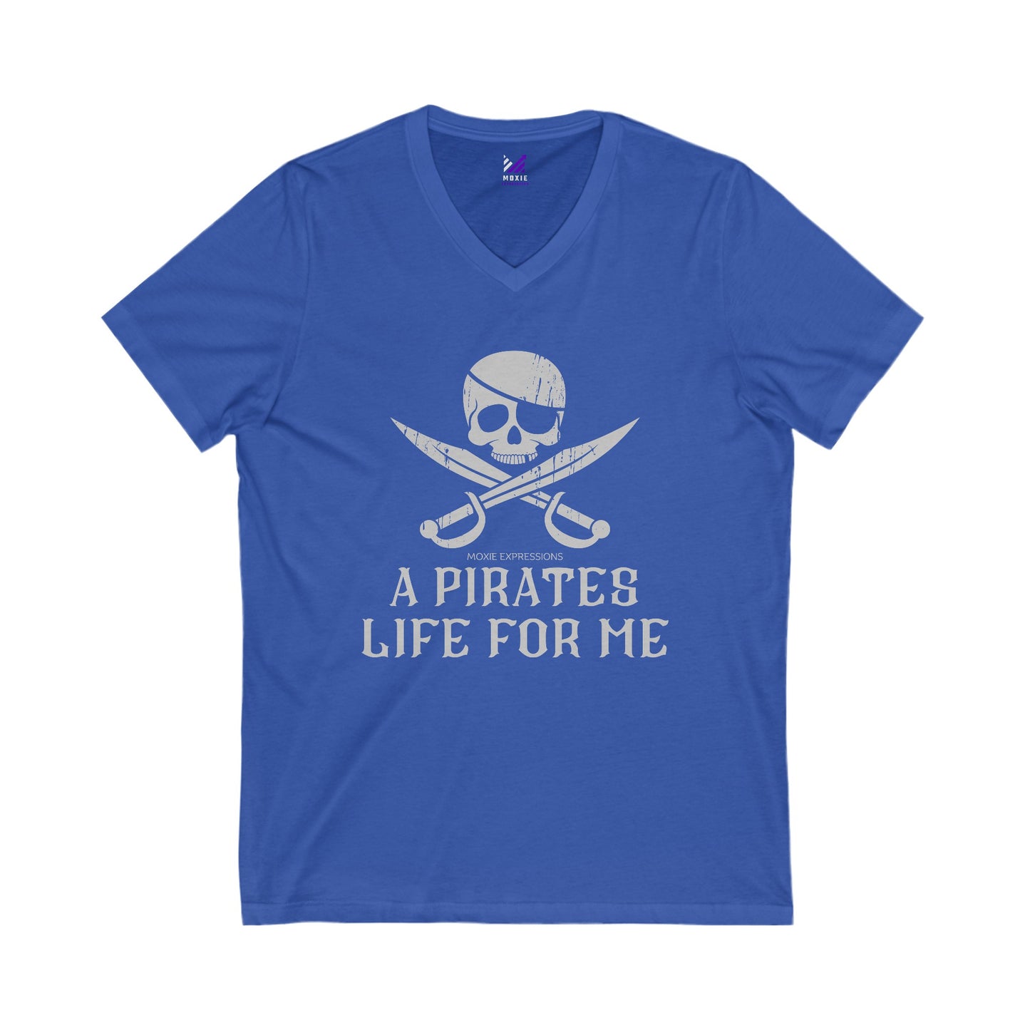 Treasure Seeker Unisex Jersey Short Sleeve V-Neck Tee