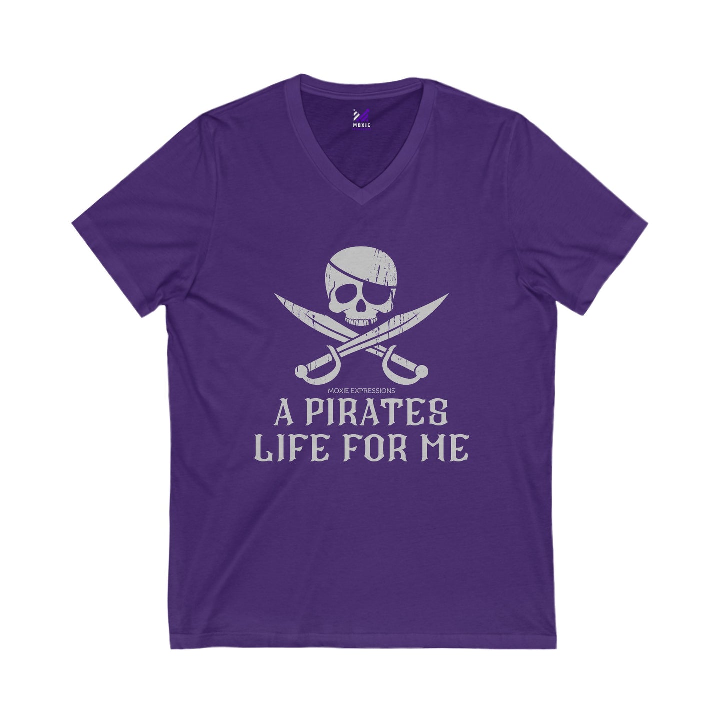 Treasure Seeker Unisex Jersey Short Sleeve V-Neck Tee