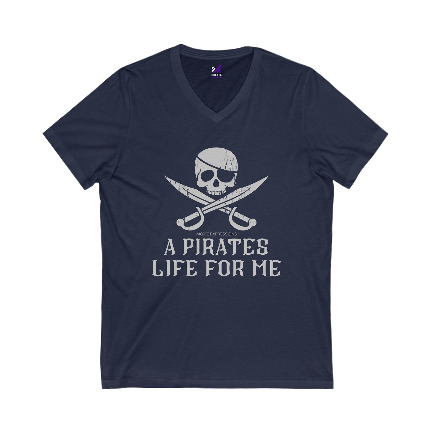 Treasure Seeker Unisex Jersey Short Sleeve V-Neck Tee