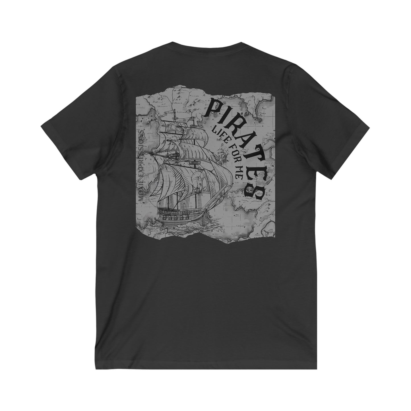 Treasure Seeker Unisex Jersey Short Sleeve V-Neck Tee