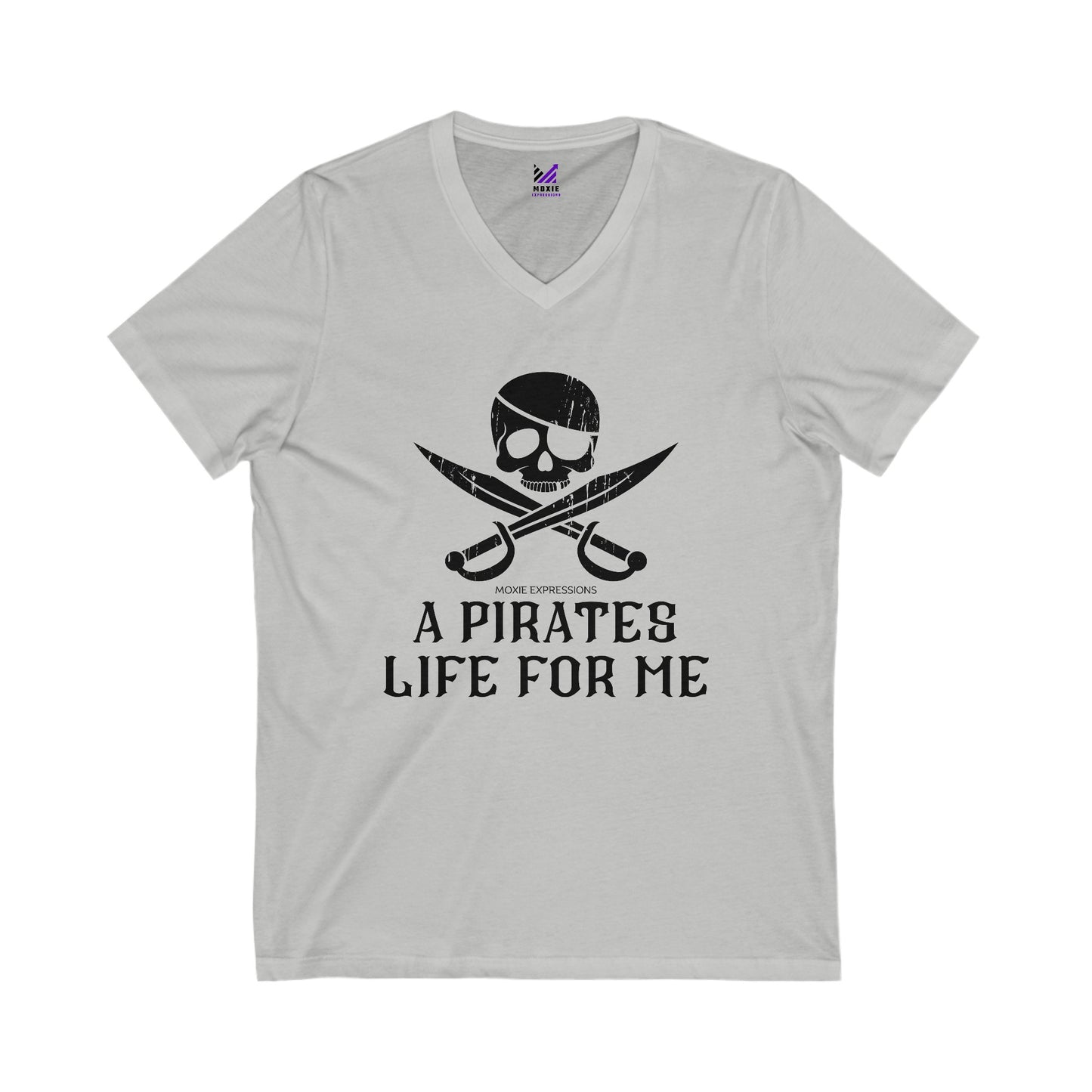 Treasure Seeker Unisex Jersey Short Sleeve V-Neck Tee