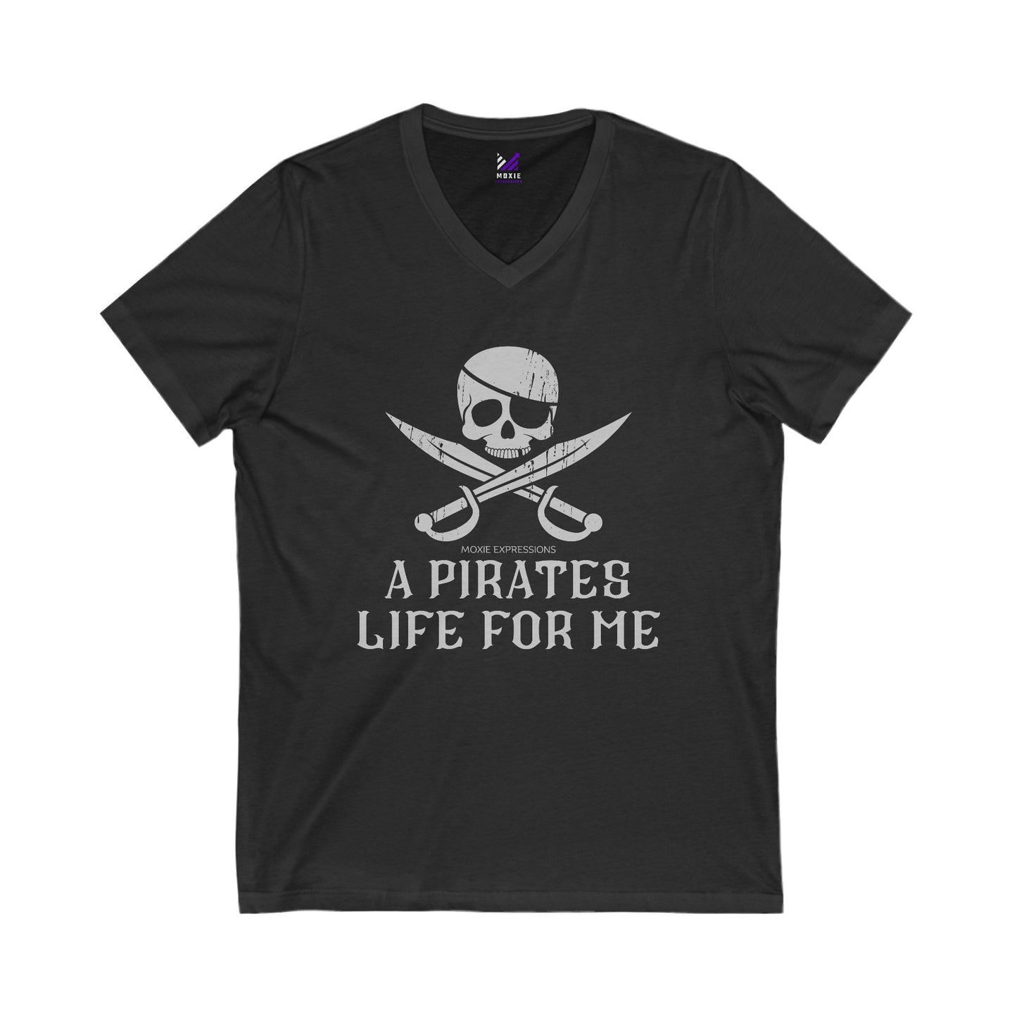 Treasure Seeker Unisex Jersey Short Sleeve V-Neck Tee