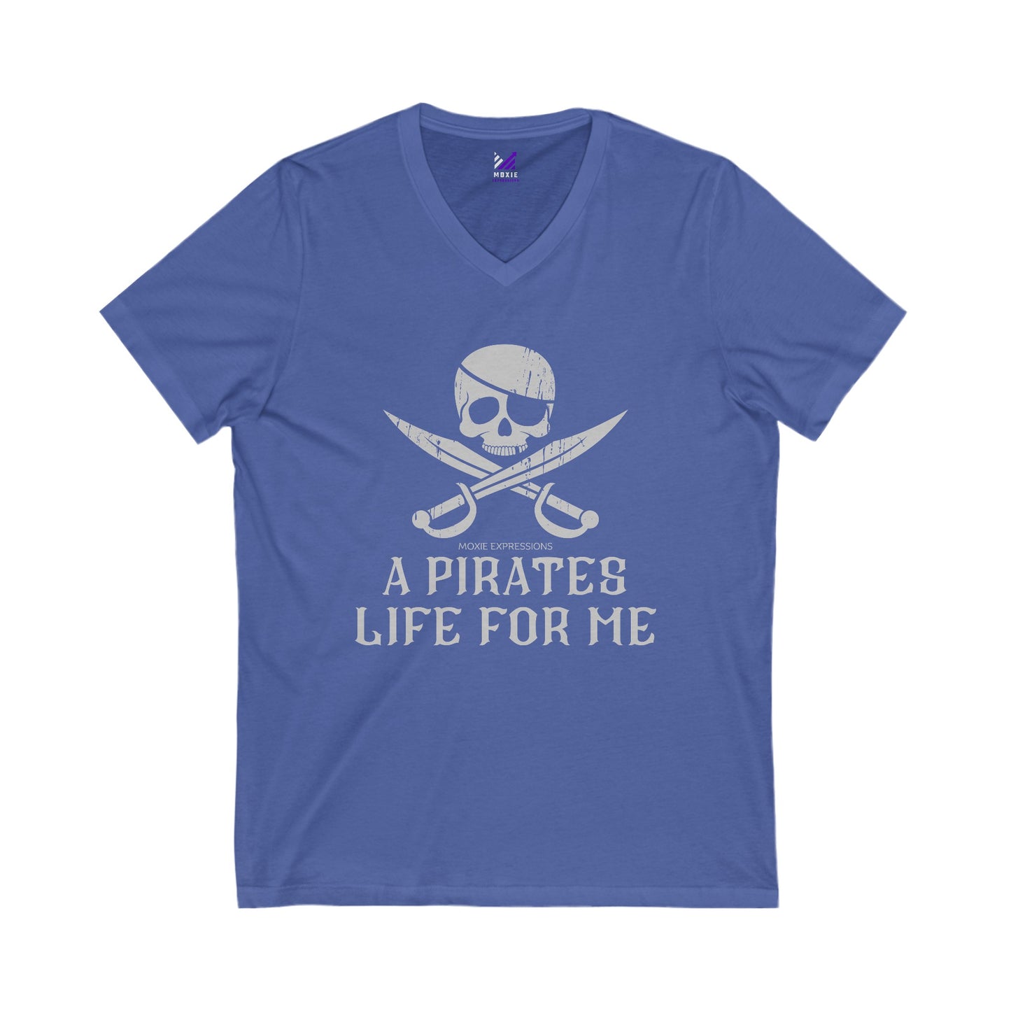 Treasure Seeker Unisex Jersey Short Sleeve V-Neck Tee
