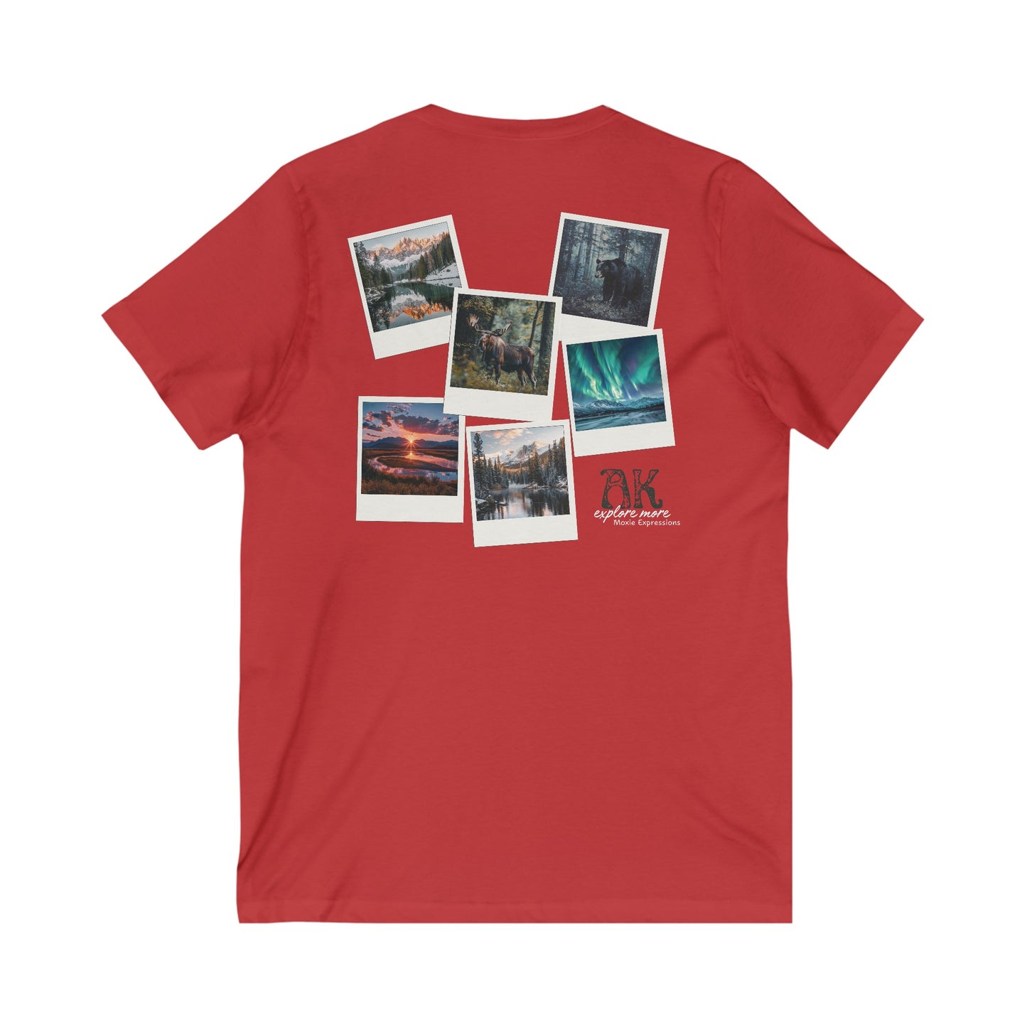 Alaska Explore More Unisex Jersey Short Sleeve V-Neck Tee