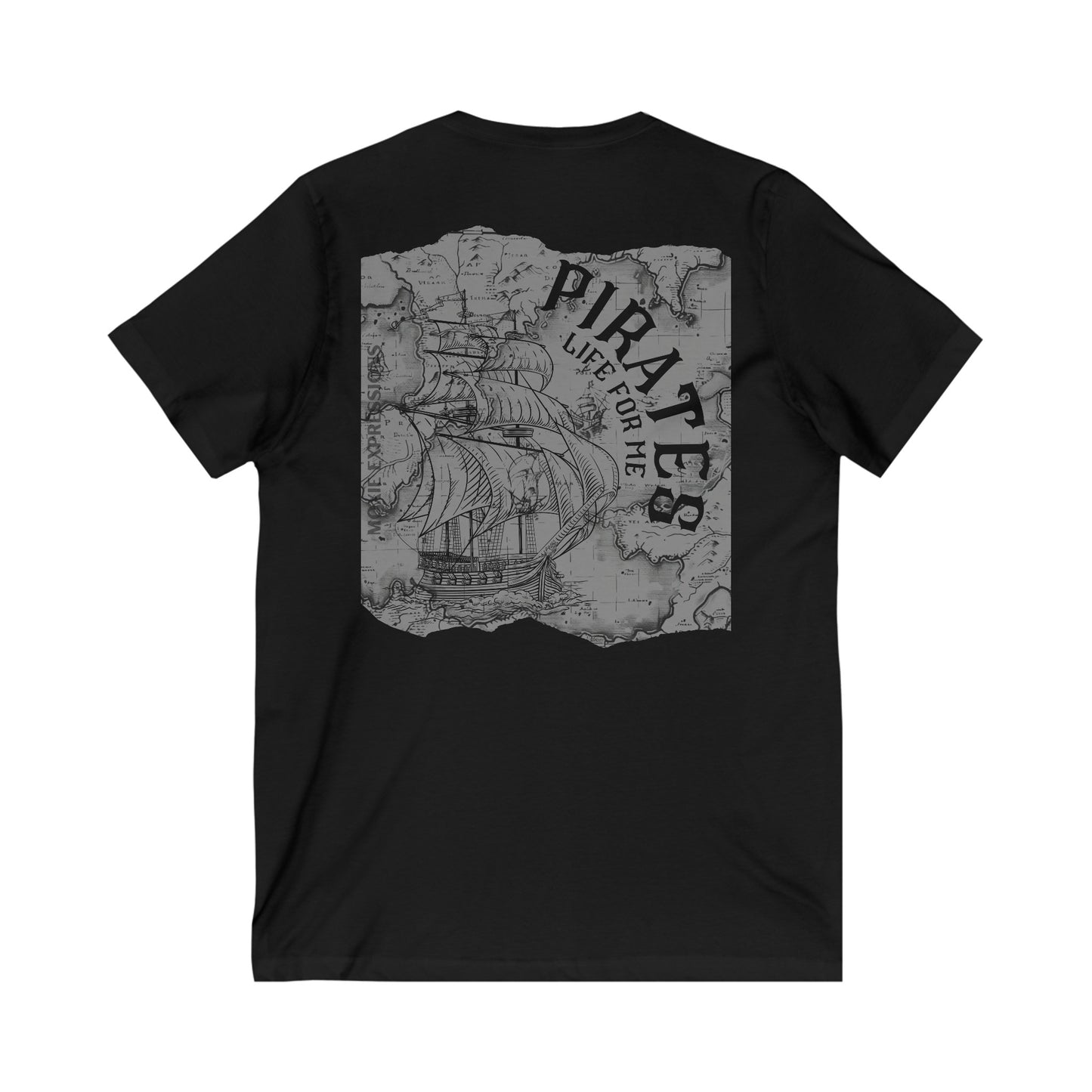 Treasure Seeker Unisex Jersey Short Sleeve V-Neck Tee