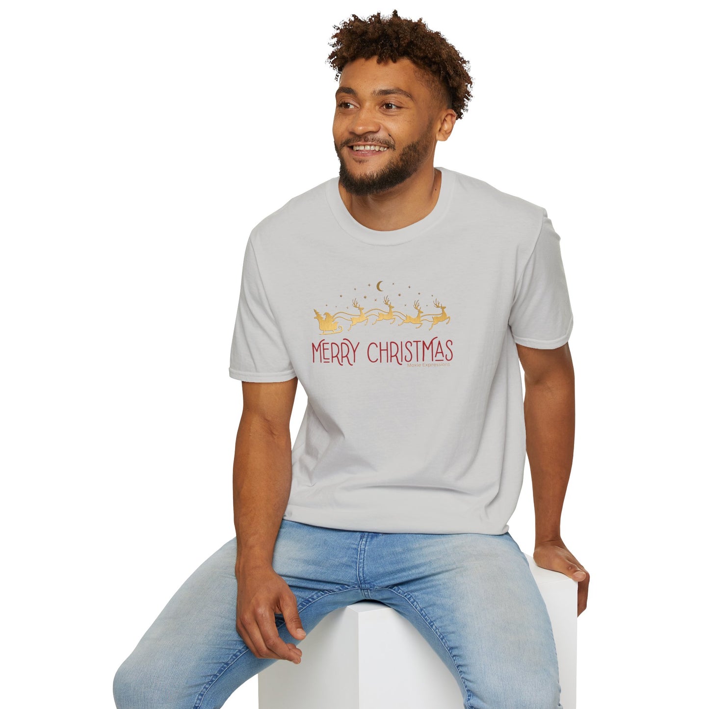 Santa's Sleigh Unisex Softstyle T-Shirt